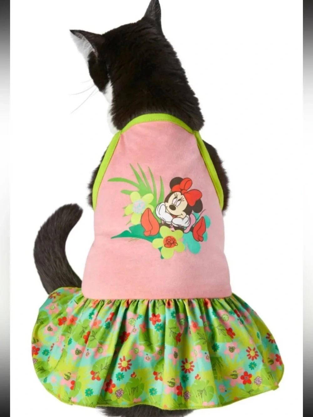 Disney minnie mouse